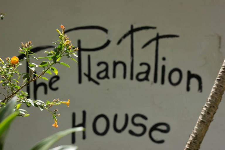 The Plantation House Too — photo 3