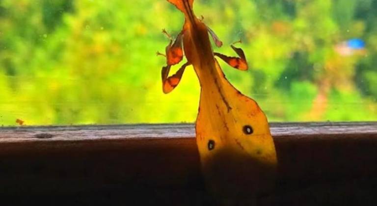 foto34