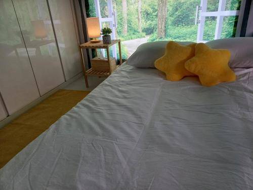 foto14