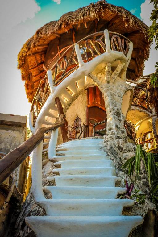 La Quinta Orquídea — photo 3