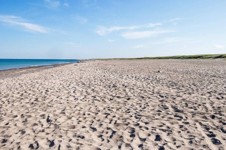 Fully equipped vacation home with hot tub, sauna & barbecue | Pets allowed — photo 5