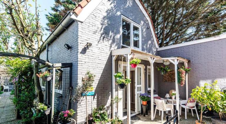 Apartment | Pets are welcome in Zandvoort
