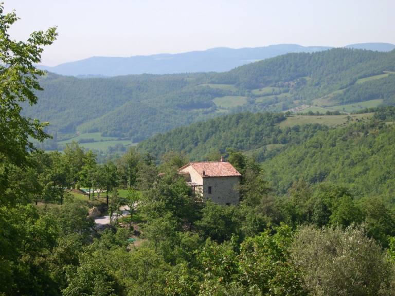 foto24