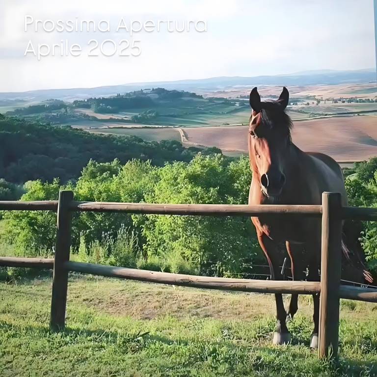 foto22