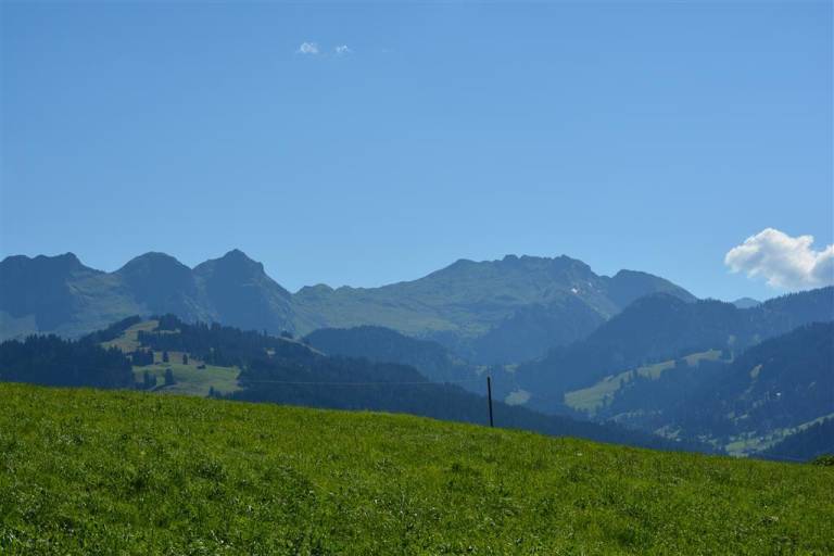 Ferienwohnung Gstaad