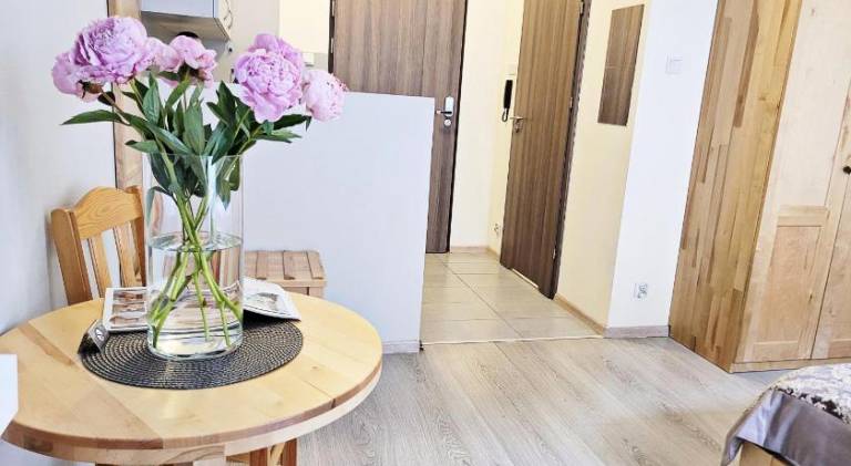 Serviced apartment | Near Main Square | Pets allowed — photo 4