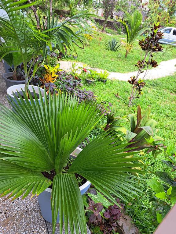Holiday apartment | Garden view — photo 5