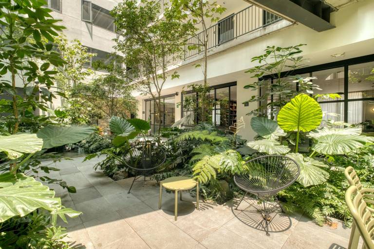 Family-oriented rental apartment with yard, grill & fast internet | Next to Chapultepec Castle | Pets are welcome — photo 4