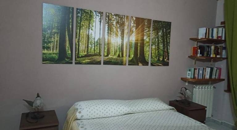 foto31