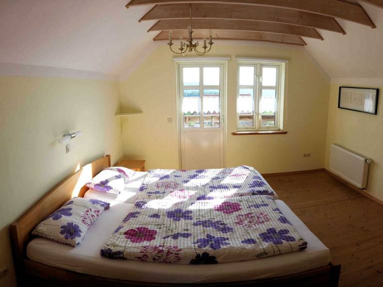 foto2