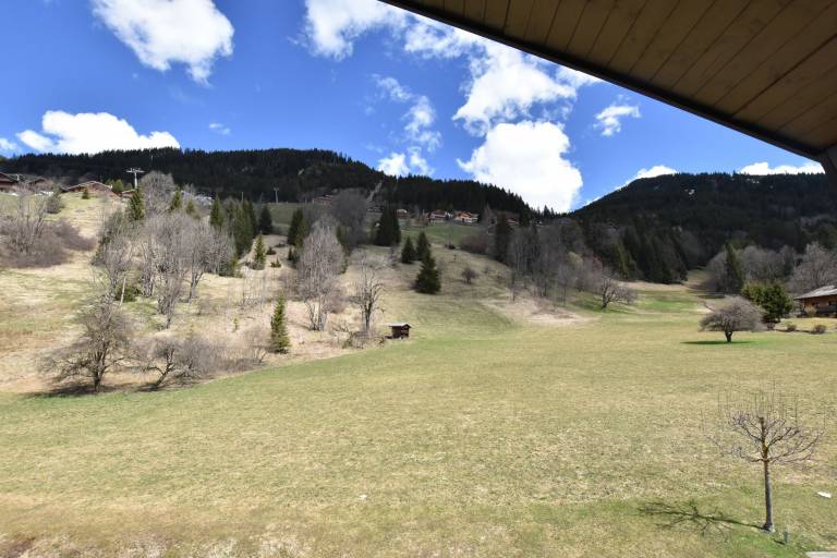 foto22