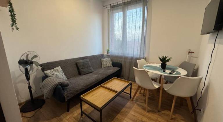 Apartment | Pets are welcome — photo 2
