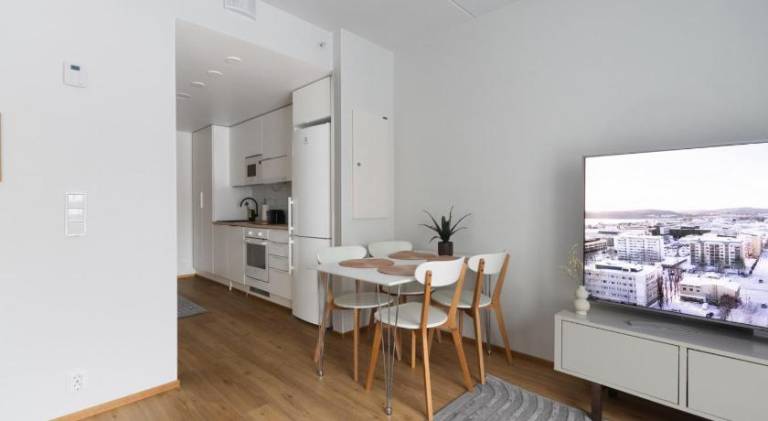 Rental apartment with sauna — photo 2