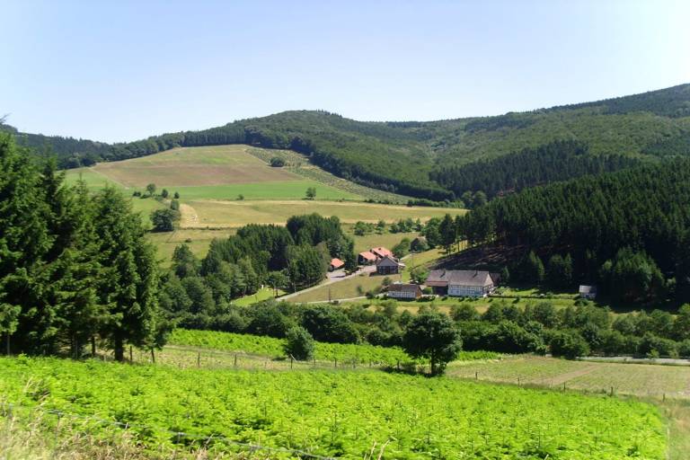 foto19