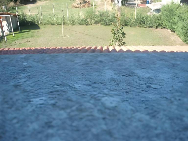 foto24