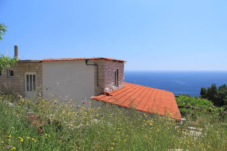 foto19