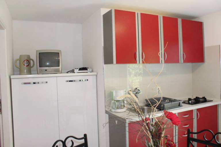 Apartment with terrace, BBQ & garden — photo 4
