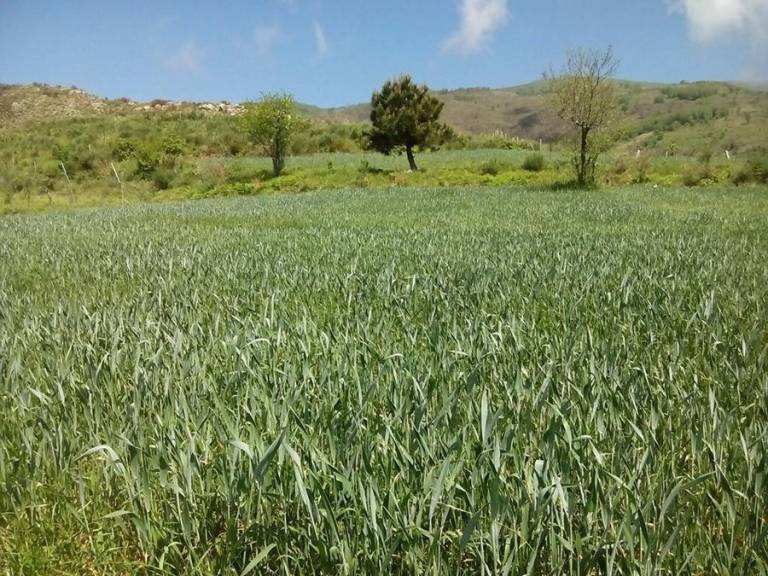 foto10