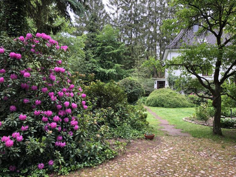 foto21