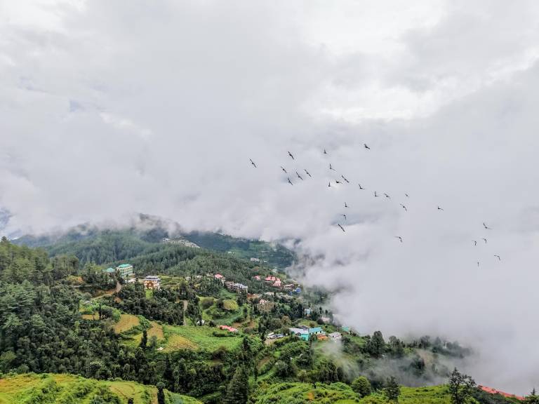 Hotel Himalayan Escape — photo 5