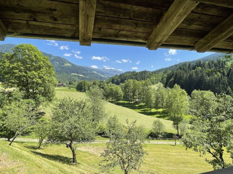 foto38