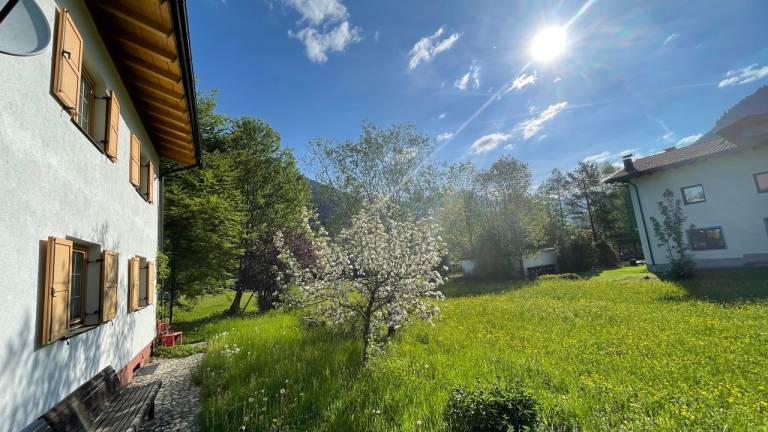 Ferienhaus  Bichlbach