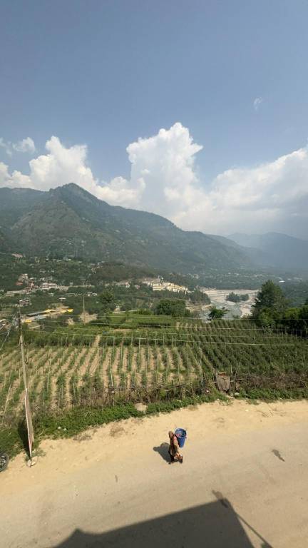 Rental apartment | Good for workation in Kullu