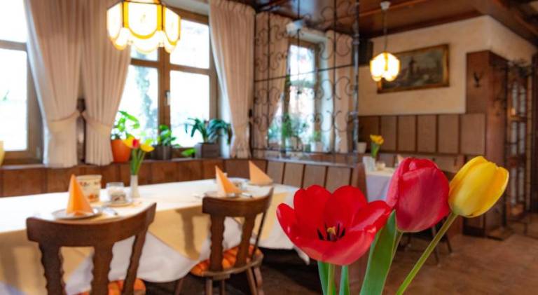 Goldener Schwan Hotel Garni — photo 2