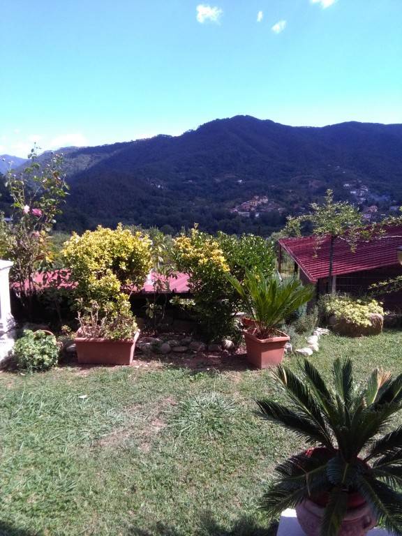 foto20