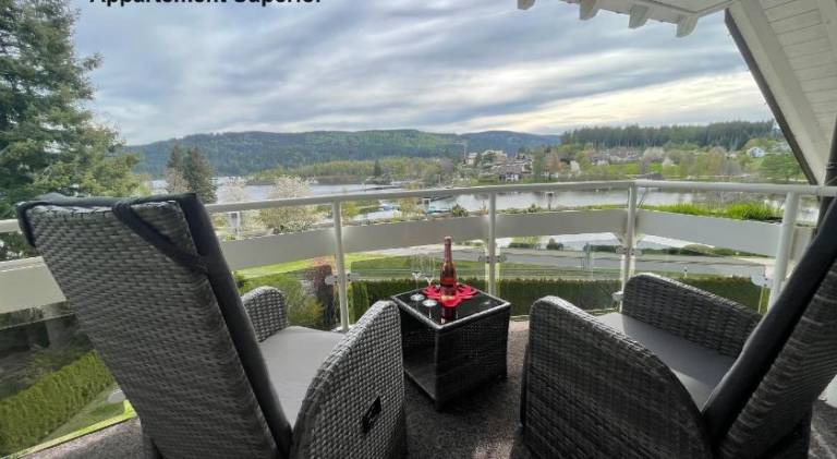 Big rental apartment with sauna, hot tub & pool | Pets are welcome — photo 4