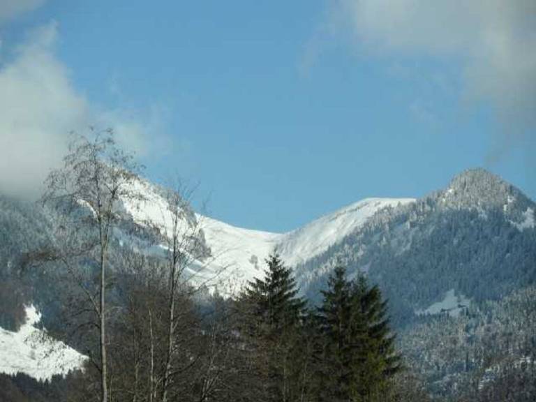 foto11
