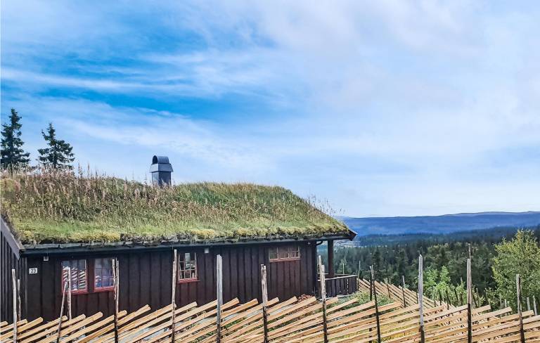 Ferienhaus Svingvoll