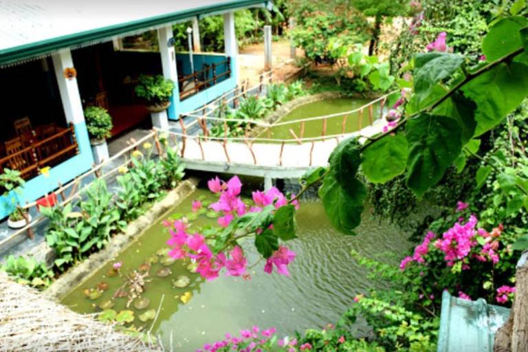 Hungry Lion Resort in Sigiriya