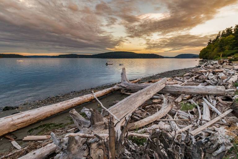 House  Anacortes