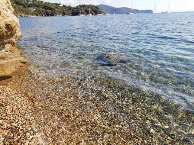 foto41