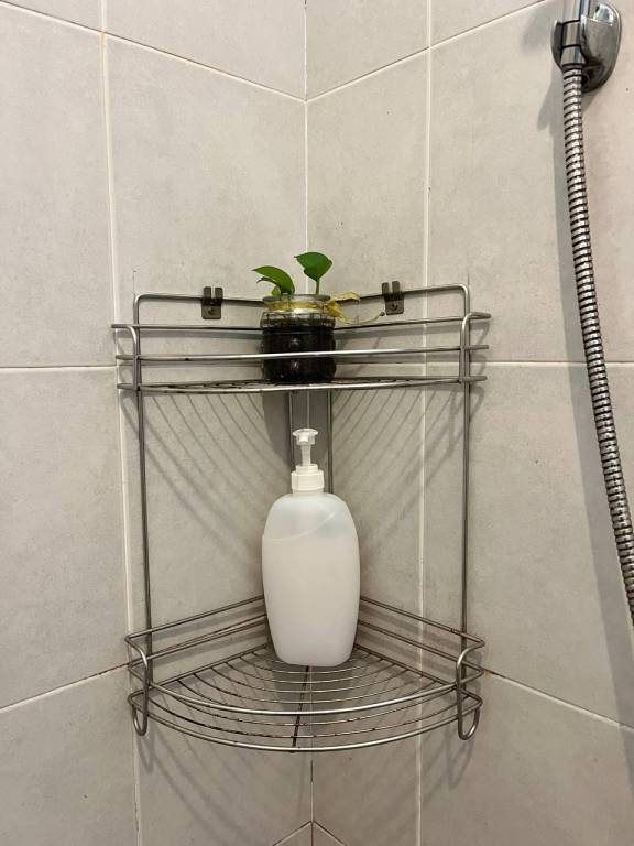 foto41