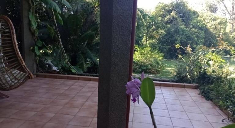 foto40