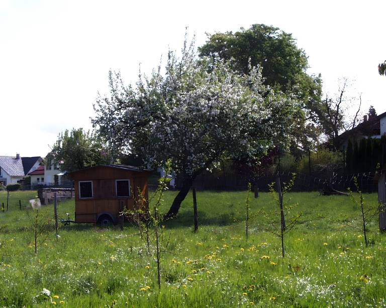 foto14