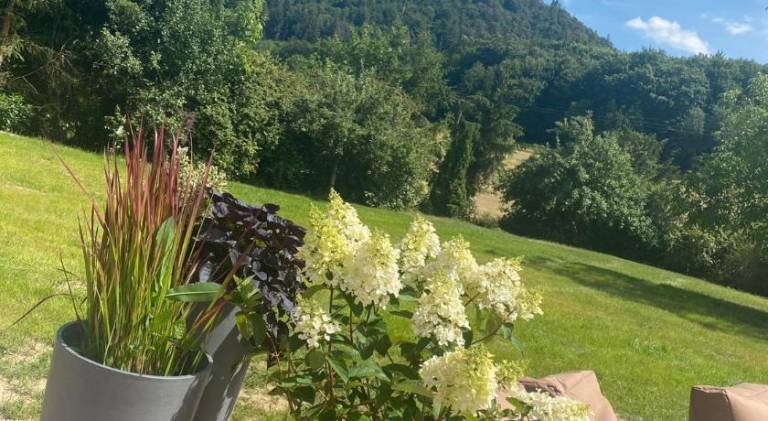 foto21
