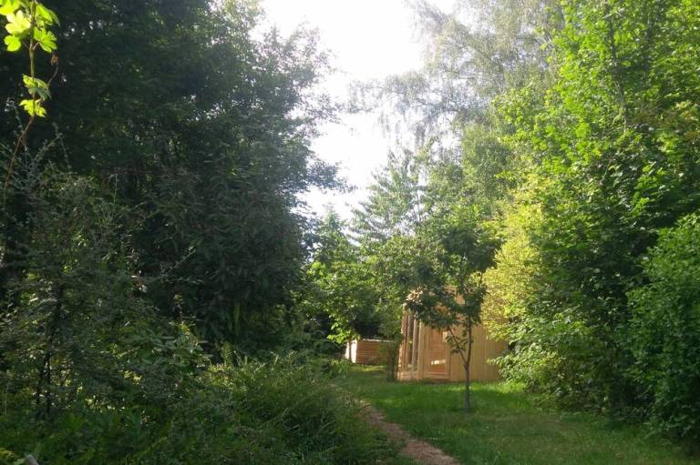 foto7
