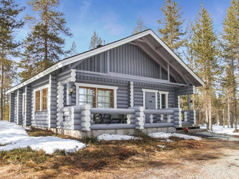 Vacation home with sauna — photo 3