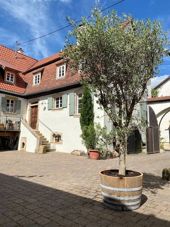 Ferienwohnung Bad Dürkheim