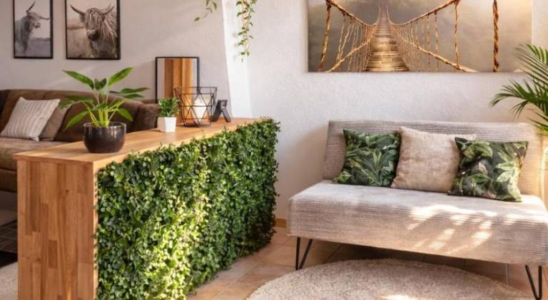 Holiday apartment with 1 room for 4 persons in Todtmoos