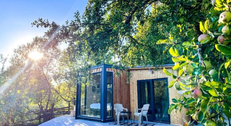 Elysian Fields - The Island Tiny House in Sibiu