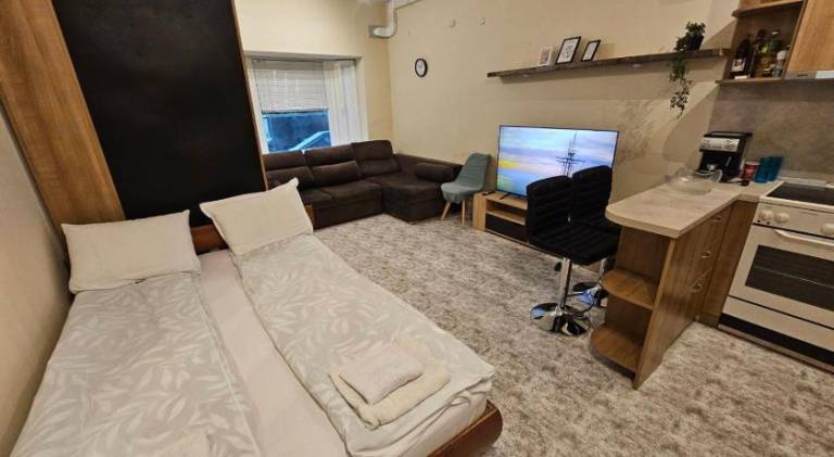 Apartment with 1 room for 4 persons — photo 5