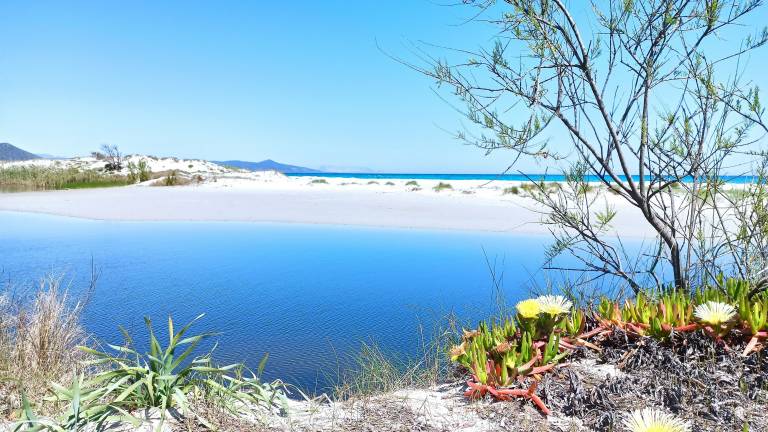 Appartamento vacanza La Caletta