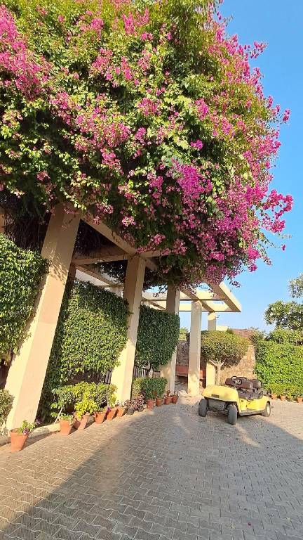 House Bissar Akbarpur