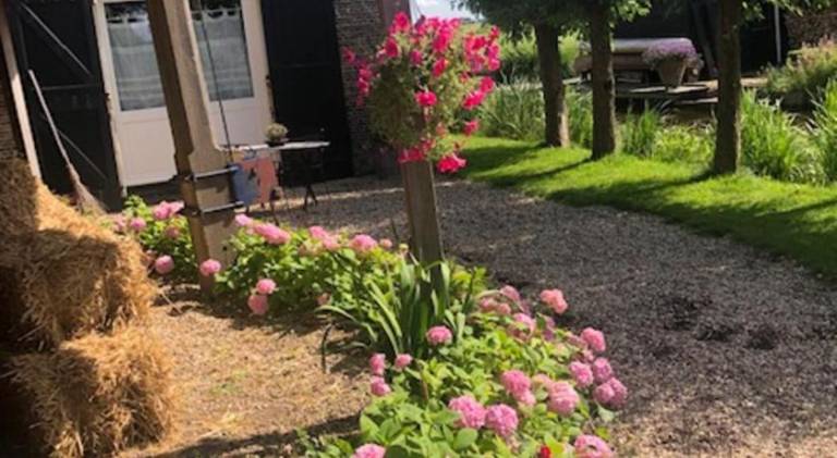 foto13