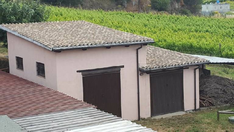 foto15