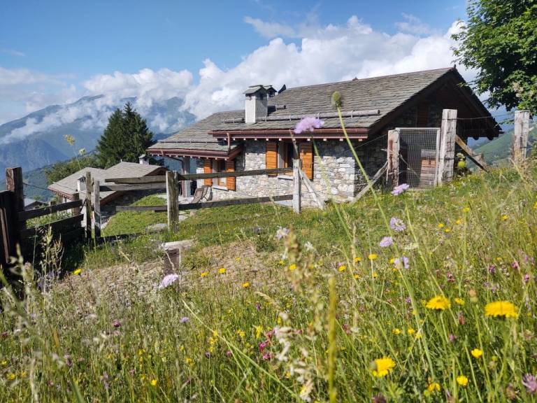foto2